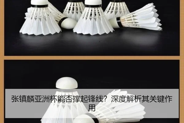 张镇麟亚洲杯能否撑起锋线？深度解析其关键作用